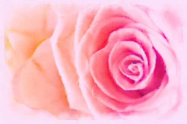 Roze roos met water kleur schilderij stijl illustratie — Stockfoto