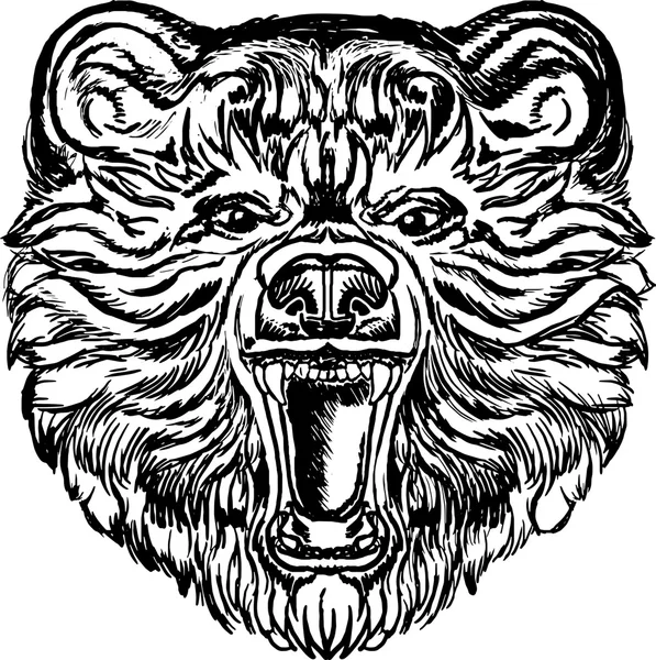 Ayı namlu hırlıyor vektör görüntü