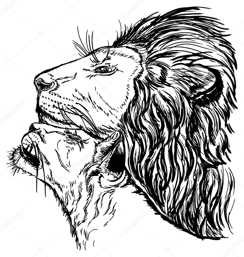 Free Free 95 Lion And Lioness Svg SVG PNG EPS DXF File
