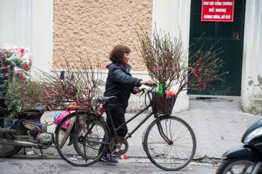 kadın bir şeftali ağacı ile bir bisiklet ile gidiyor