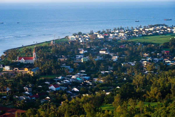 Vackert landskap med vitlök fält i Vietnam — Stockfoto