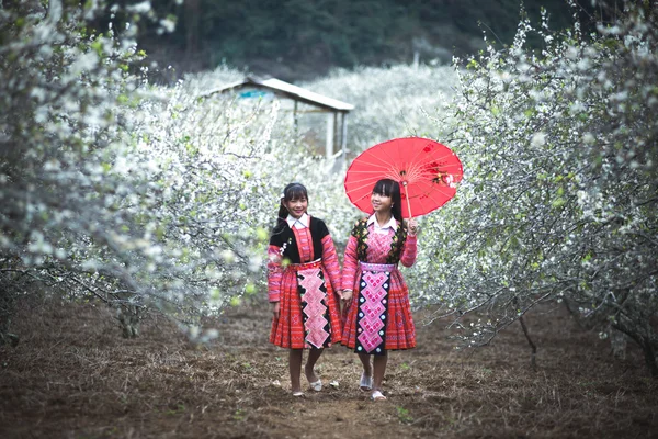 Duas meninas étnicas H 'Mong — Fotografia de Stock