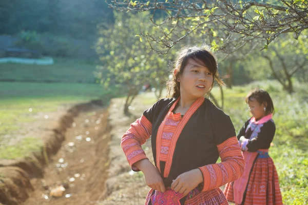 H 'mong niños étnicos — Foto de Stock