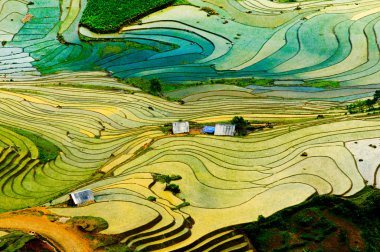 Teraslı pirinç alan su sezonu Laocai, Vietnam