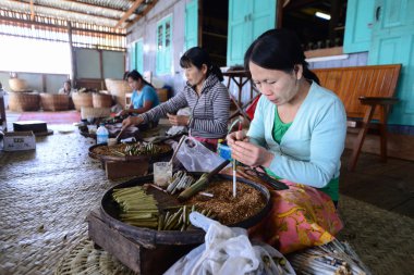 Kimliği belirsiz Birmanya kadınlar puro yapmak