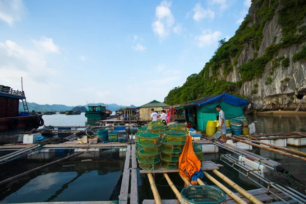 Floating village in Halong bay — Stock Photo, Image