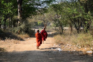İki küçük Budist rahipler