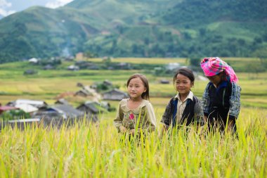 Kimliği belirsiz H'mong etnik azınlık çocuk