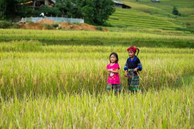 Kimliği belirsiz H'mong etnik azınlık çocuk