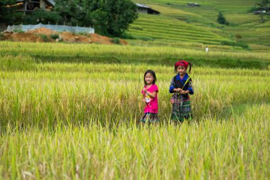 Kimliği belirsiz H'mong etnik azınlık çocuk