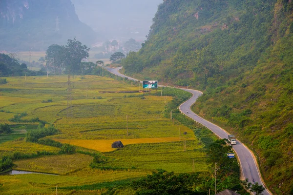 Egy út a rizs mező — Stock Fotó