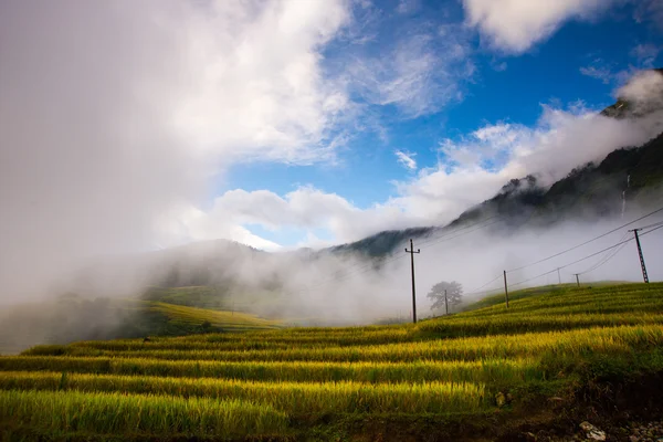 Beautiful terraced rice field — Stock Photo, Image