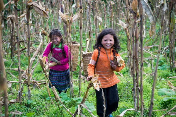 H 'mong niños de minorías étnicas — Foto de Stock