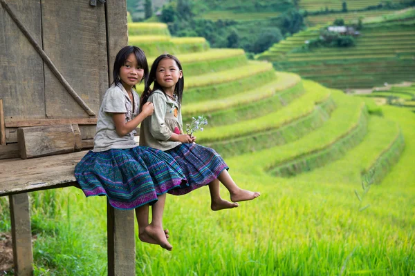 Ethnic minority children in Mucangchai — ストック写真