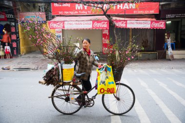 Kimliği belirsiz şeftali çiçek satıcı bir sokakta Hanoi