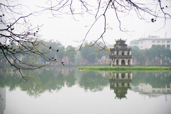 Torre de tartaruga em Sword Lake — Fotografia de Stock