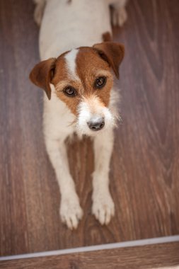 Akıllı bir görünüm