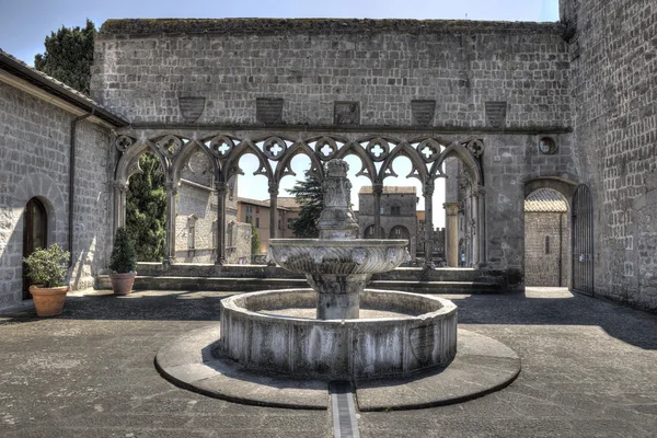 Viterbo Fountain Papal Palace — стокове фото