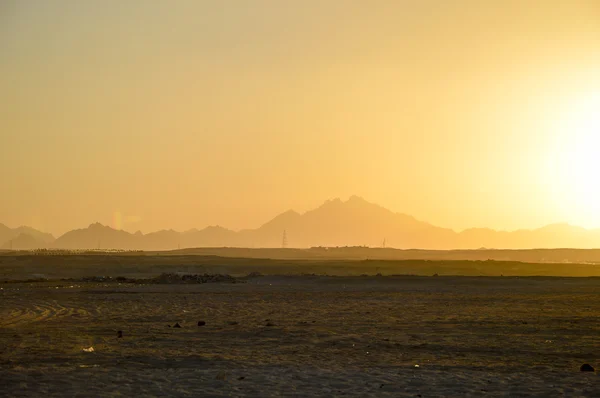 Sunset in the Desert — Stock Photo, Image