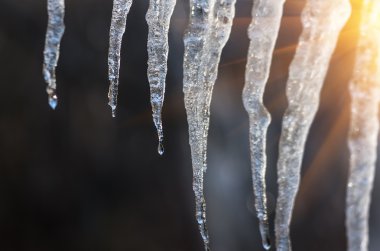 Bahar buz sarkıtları karanlık bir arka plan üzerinde erime