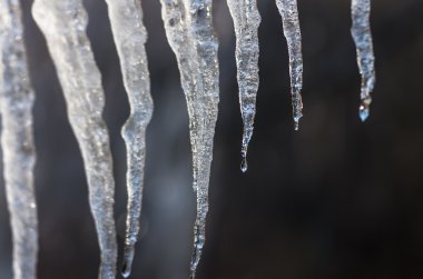 Siyah arkaplanda buz saçakları