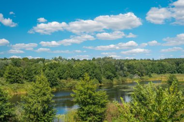 Mavi gökyüzü ve bulutların arka plan üzerinde ormanda Nehir