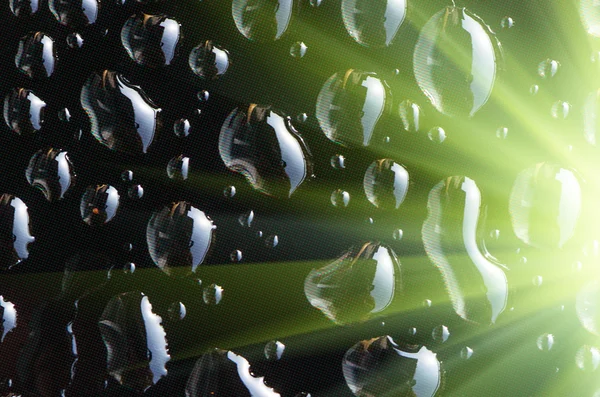 Tropfen auf das Glas — Stockfoto