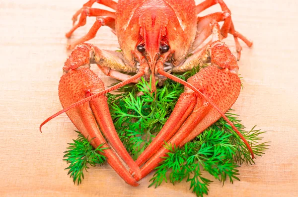 Écrevisses bouillies aux herbes — Photo