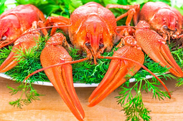 Écrevisses bouillies aux herbes — Photo