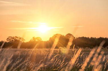 Yaz aylarında güzel gündoğumu