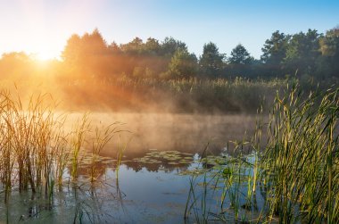 önceki sabah Nehri üzerinde