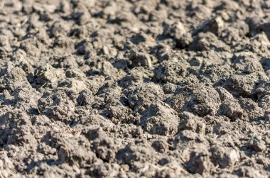 Tarım plantasyonu için toprak arazi veya sürülmüş arazi