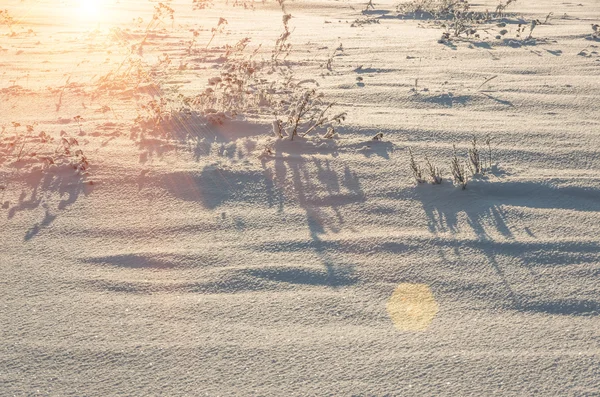 Campo Coberto Neve Inverno Neve Campo Neve Atmosfera Natal — Fotografia de Stock