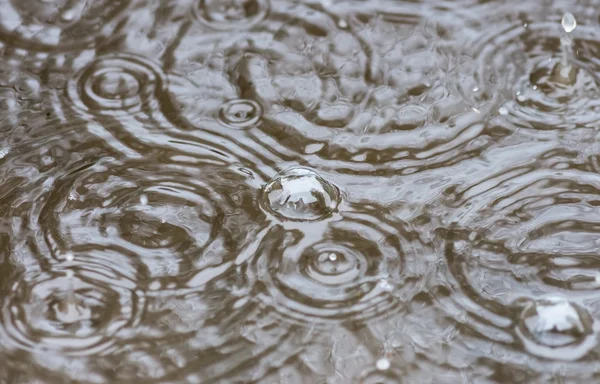 Burbujas de la lluvia en un charco — Foto de Stock