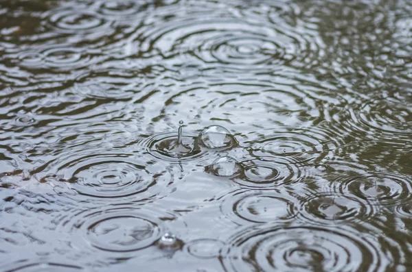 Φυσαλίδες από τη βροχή σε μια λακκούβα — Φωτογραφία Αρχείου
