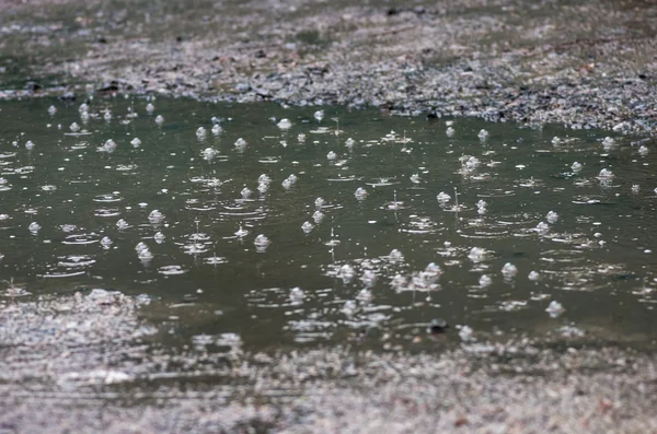 Bubblor från regnet i en pöl — Stockfoto