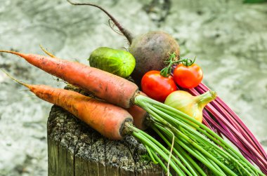 birçok sebze kapatın