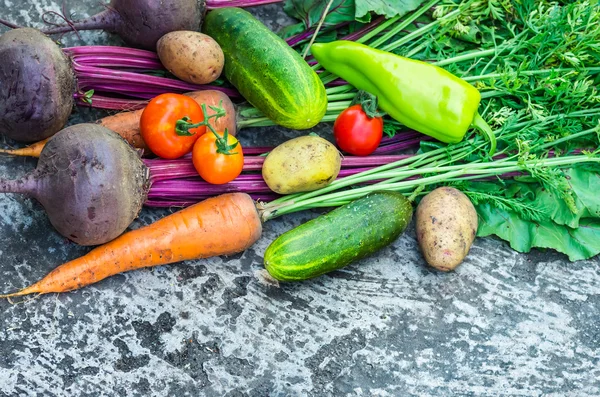Molte verdure chiudi — Foto Stock