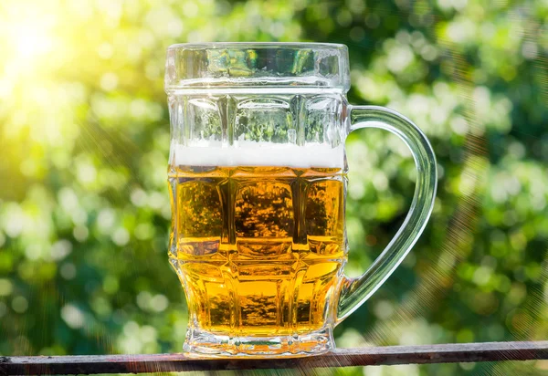 Cerveza soleada en un vaso —  Fotos de Stock