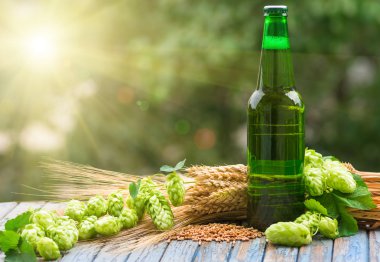 Bira malt atlama