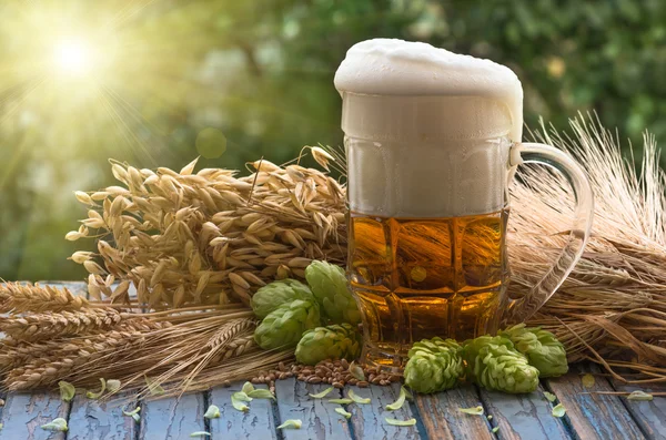 Beer malt hops — Stock Photo, Image