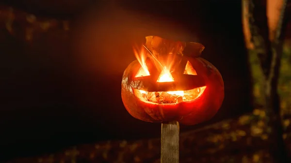 Cabeza de calabaza de halloween ardiente en la noche sobre fondo oscuro. Fondo festivo oscuro de Halloween. Enfoque suave — Foto de Stock