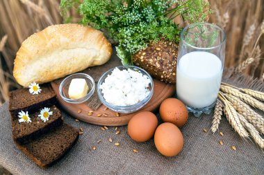 Organik gıda - süt, ekmek, yumurta, peynir, tereyağı masanın üzerinde, bir buğday tarlasının arka planında.