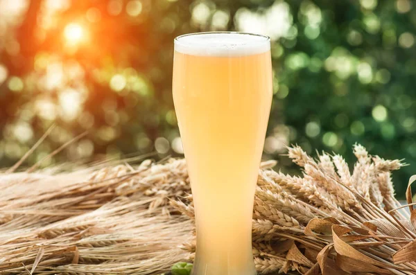 Lätt ofiltrerat öl, malt, bakgrund — Stockfoto