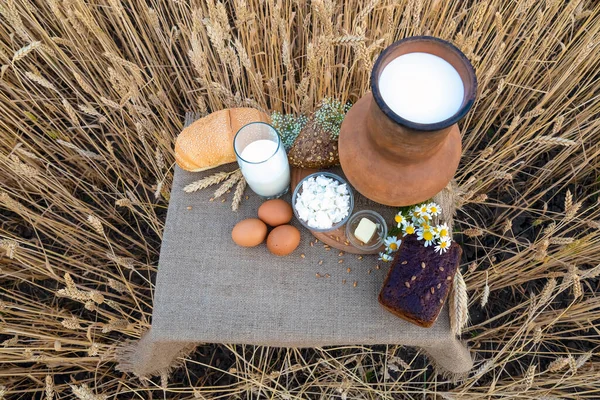 Alimento ecológico - leche, pan, huevos, queso, mantequilla sobre la mesa, sobre el fondo de un campo de trigo. — Foto de Stock