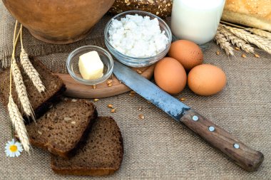 Organik gıda - süt, ekmek, peynir, tereyağı, bıçak, masanın üzerinde, bir buğday tarlasının arka planında..