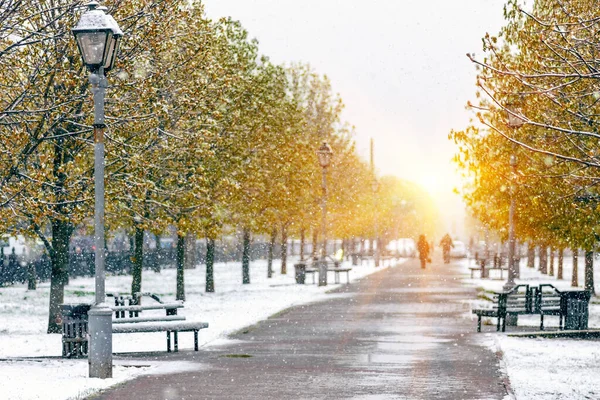 Nieva en primavera en el parque de castaños los árboles han abierto sus hojas verdes. Mal tiempo en primavera. —  Fotos de Stock