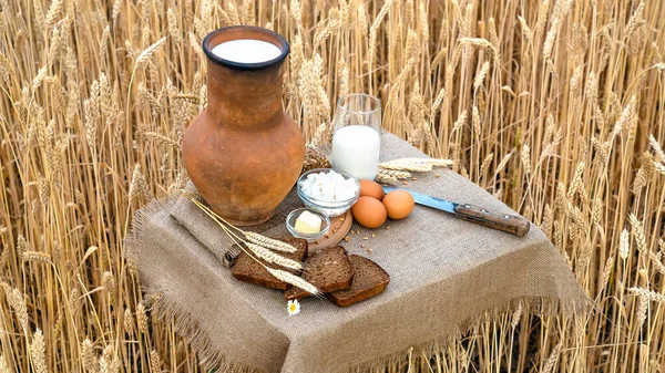 Alimento ecológico leche, pan, huevos, queso, mantequilla, cuchillo, acostado sobre la mesa, sobre el fondo de un campo de trigo. — Foto de Stock