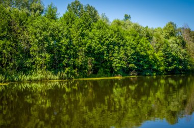 Açık bir günde sakin Nehri