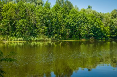 Yazın sakin bir nehirde güneşli bir gün